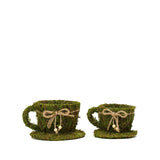 Set of 2 | Preserved Moss Teacup Planter Box with Natural Braided Twine Bow - 5" & 4.5"