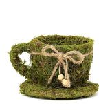 Set of 2 | Preserved Moss Teacup Planter Box with Natural Braided Twine Bow - 5" & 4.5" #whtbkgd