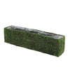 23" Rectangle Preserved Moss Planter Box with Inner Lining #whtbkgd