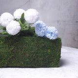 23" | Rectangle Preserved Moss Planter Box | Moss covered Planters with Inner Lining