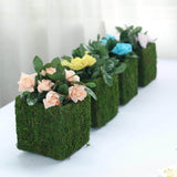 4 Pack | Square Preserved Moss Planter Box | Moss covered Planters with Inner Lining | 6" x 6"