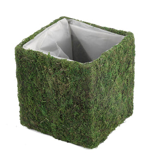 Versatile and Easy-to-Care Moss Covered Flower Baskets