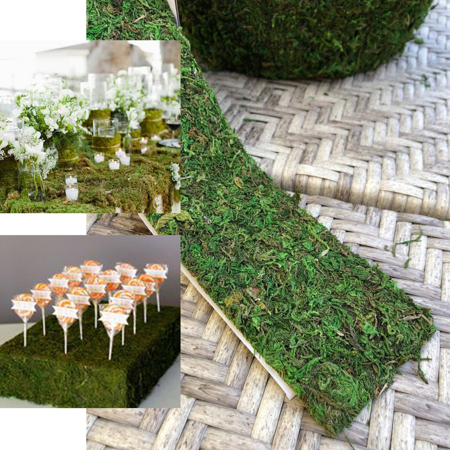 2" Wide | 4FT Green Preserved Moss Ribbon Rolls