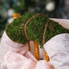 2 Pack | 14" Green Preserved Moss Wreaths with Natural Twig Wraps