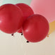 10 Pack | 18inch Matte Pastel Burgundy Helium or Air Latex Party Balloons