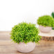 2 Plant Set | 5inch Mini Potted Artificial Boxwood Topiary Faux Planter Collection