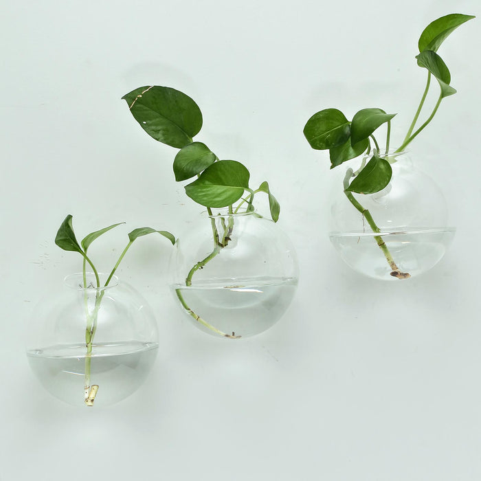 3 Pack | Modish Round Glass Wall Vase | Indoor Wall Mounted Planters | Hanging Terrariums