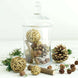 26 Pack Natural Dried Assorted Potpourri Vase Fillers Bowl DIY Table Decorations