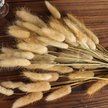 50 Pack | 15" Natural Rabbit Tail Dried Pampas Grass Stem Bouquets, Boho Flower Arrangement Sprays