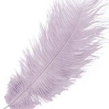 12 Pack | 13inch - 15inch Violet Amethyst Natural Plume Real Ostrich Feathers#whtbkgd