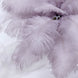 12 Pack | 13-15inch Violet Amethyst Natural Plume Real Ostrich Feathers, DIY Centerpiece Fillers