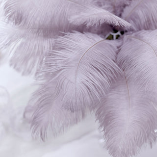 Experience the Beauty of Natural Plume Ostrich Feathers