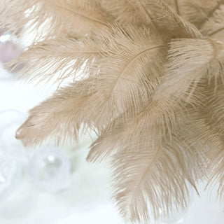 Beige Natural Plume Real Ostrich Feathers for All Your Crafting Needs