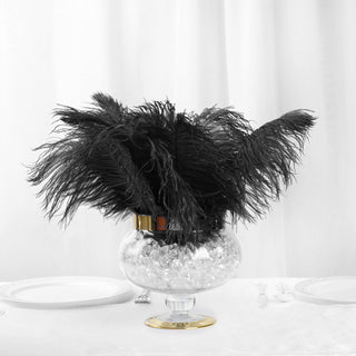 Transform Your Event with Real Ostrich Feathers
