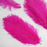 Unleash Your Creativity with Natural Plume Feathers