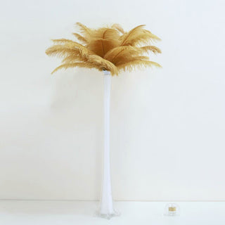 Create Stunning Fashion and Home Decor with Real Ostrich Feathers