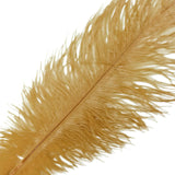 12 Pack | 13inch - 15inch Gold Natural Plume Real Ostrich Feathers#whtbkgd