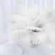 12 Pack | 13-15inch Ivory Natural Plume Real Ostrich Feathers, DIY Centerpiece Fillers