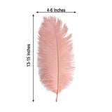 12 Pack | 13-15inch Mauve Natural Plume Real Ostrich Feathers, DIY Centerpiece Fillers