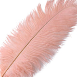 12 Pack | 13inch - 15inch Mauve Natural Plume Real Ostrich Feathers#whtbkgd