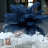Add Elegance to Your Event Decor with Navy Blue Ostrich Feathers