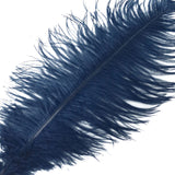 12 Pack | 13inch - 15inch Navy Blue Natural Plume Real Ostrich Feathers#whtbkgd