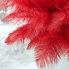 12 Pack | 13-15inch Red Natural Plume Real Ostrich Feathers, DIY Centerpiece Fillers