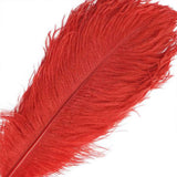 12 Pack | 13inch - 15inch Red Natural Plume Real Ostrich Feathers#whtbkgd