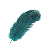 12 Pack | 13-15inch Peacock Teal Natural Plume Real Ostrich Feathers, DIY Centerpiece Fillers