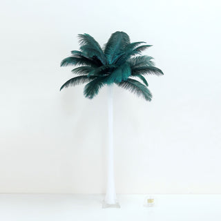 Add Elegance with Peacock Teal Ostrich Feathers