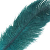 12 Pack | 13inch - 15inch Peacock Teal Natural Plume Real Ostrich Feathers#whtbkgd