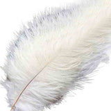 12 Pack | 13inch - 15inch White Natural Plume Real Ostrich Feathers#whtbkgd