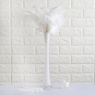 The Beauty of White Natural Plume Ostrich Feathers