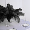 Set of 12 | 24"-26" Black Natural Plume Ostrich Feathers Centerpiece #whtbkgd