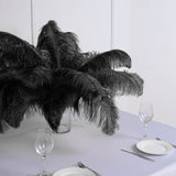 Black Natural Plume Ostrich Feathers Centerpiece Filler - 12 Pack