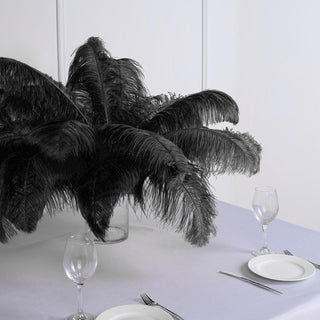 Black Natural Plume Ostrich Feathers for Exquisite Event Decor