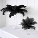Set of 12 | 24"-26" Black Natural Plume Ostrich Feathers Centerpiece