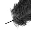 Set of 12 | 24"-26" Black Natural Plume Ostrich Feathers Centerpiece