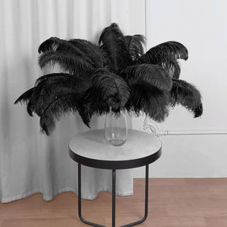 Black Natural Plume Ostrich Feathers Centerpiece Filler - 12 Pack