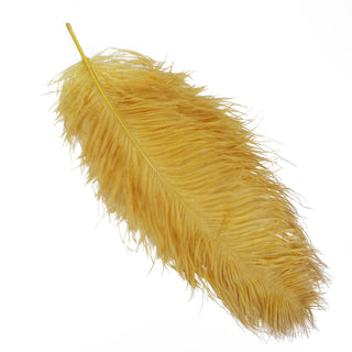 Create Unforgettable Centerpieces with Gold Natural Plume Ostrich Feathers