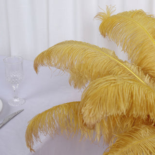 Vibrant and Versatile Vase Filler Feathers