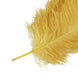 Set of 12 | 24inch - 26inch Gold Natural Plume Ostrich Feathers Centerpiece