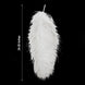 Set of 12 | 24"-26" White Natural Plume Ostrich Feathers Centerpiece