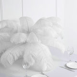 Set of 12 | 24"-26" White Natural Plume Ostrich Feathers Centerpiece #whtbkgd
