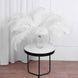 Set of 12 | 24"-26" White Natural Plume Ostrich Feathers Centerpiece 