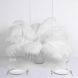 Set of 12 | 24"-26" White Natural Plume Ostrich Feathers Centerpiece 