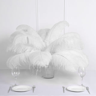 Versatile and Stunning White Natural Plume Ostrich Feathers