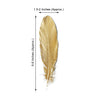 30 Pack | Metallic Gold Natural Goose Feathers | Craft Feathers for Party Decoration