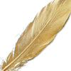 30 Pack | Metallic Gold Natural Goose Feathers | Craft Feathers for Party Decoration #whtbkgd