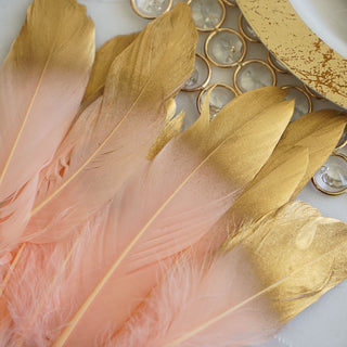 Versatile and High-Quality Craft Feathers